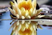 PPT - Understanding Property Appraisals: Essential Community Features ... Understanding Property Appraisal And Its Impact On Value